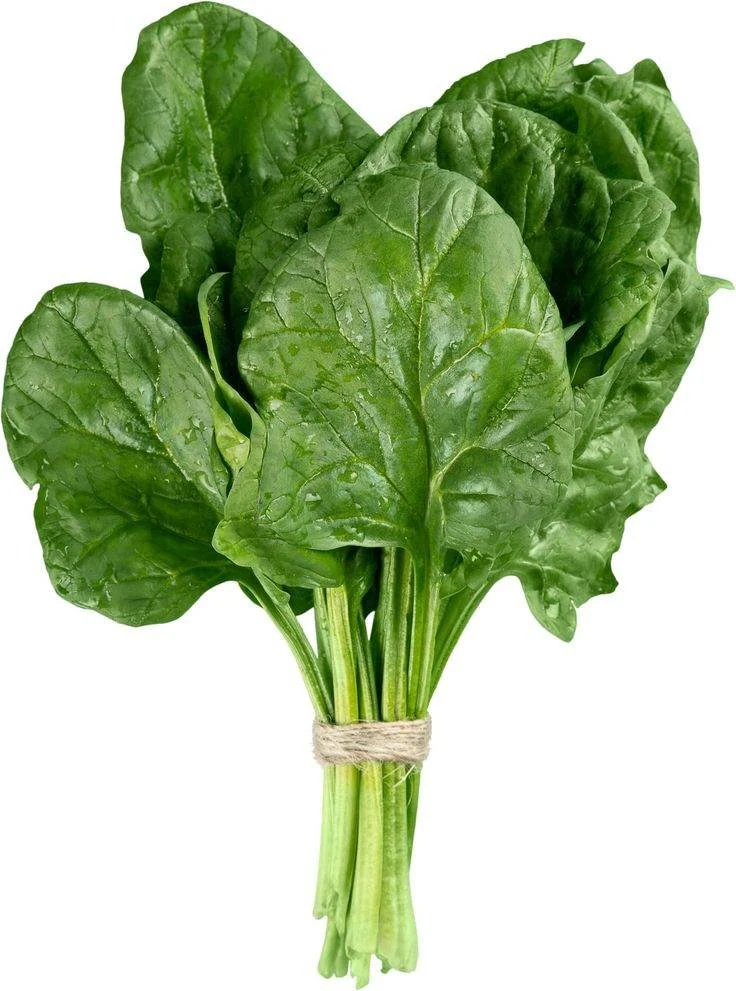 Vegetable Seeds